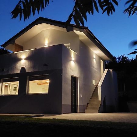 Grajsko Villa Metlika Bagian luar foto