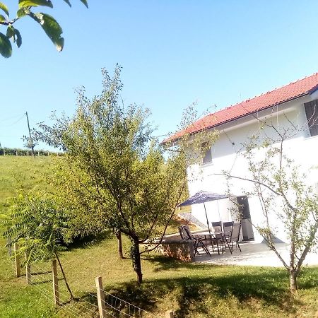 Grajsko Villa Metlika Bagian luar foto