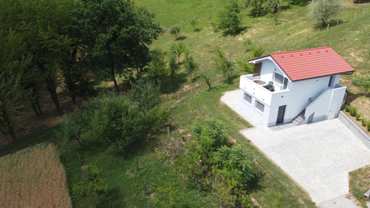 Grajsko Villa Metlika Bagian luar foto