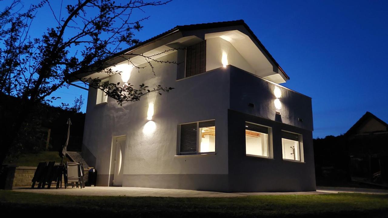Grajsko Villa Metlika Bagian luar foto