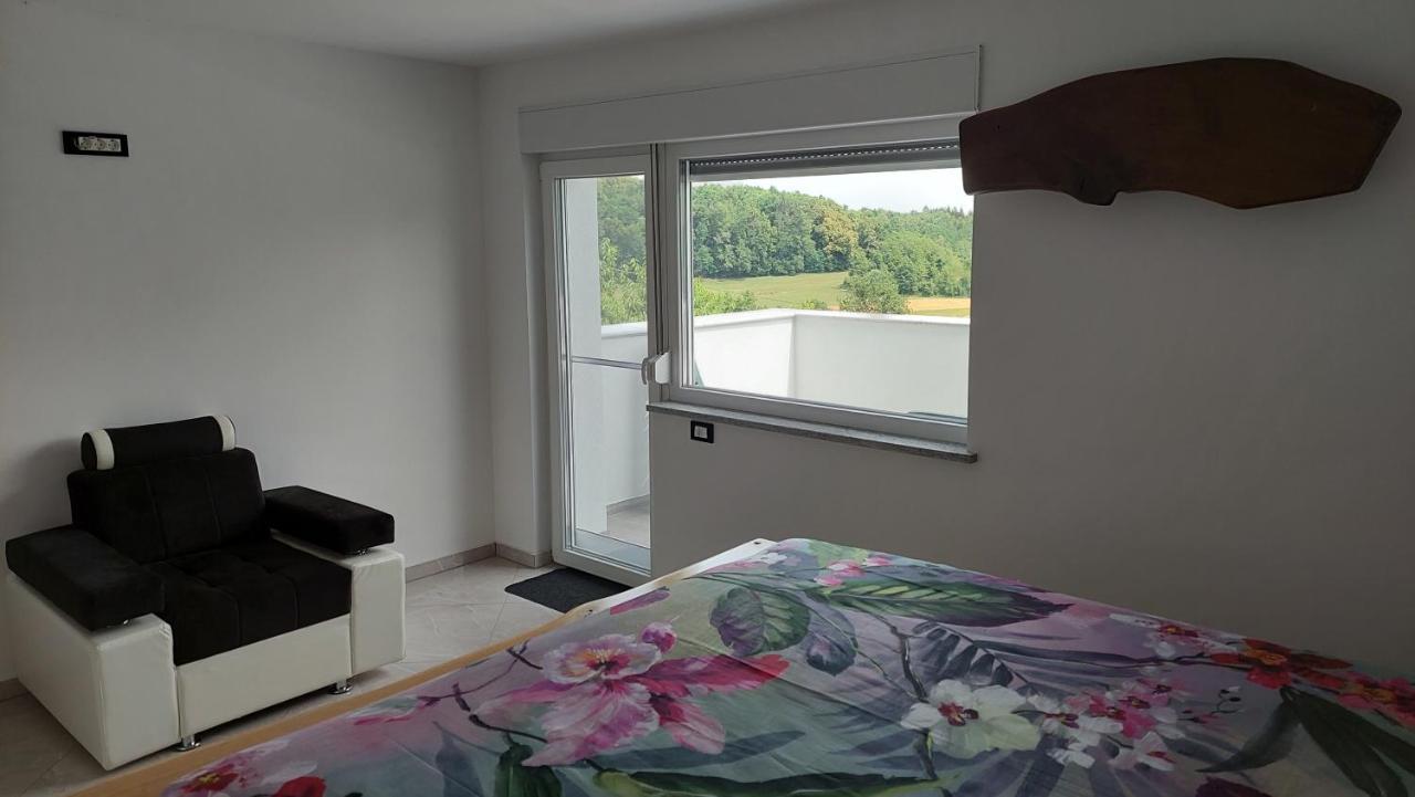 Grajsko Villa Metlika Bagian luar foto