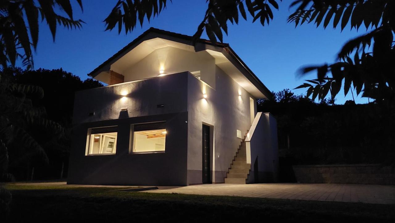 Grajsko Villa Metlika Bagian luar foto