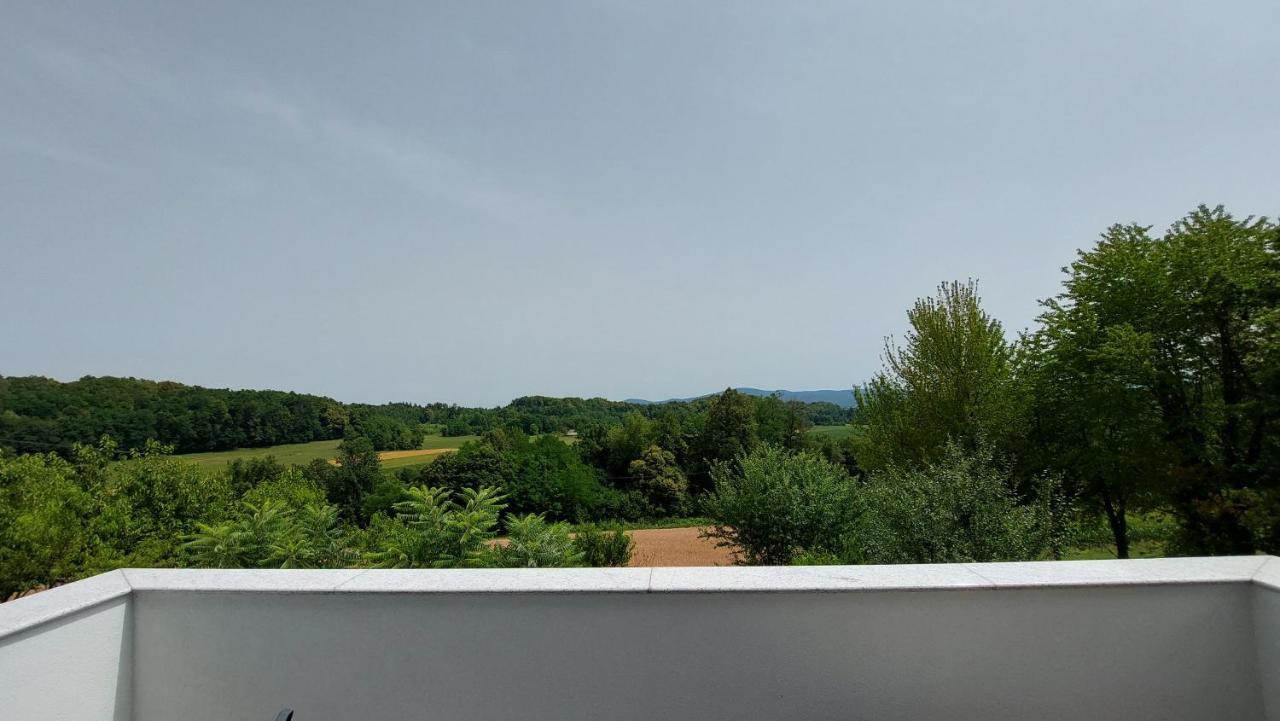 Grajsko Villa Metlika Bagian luar foto