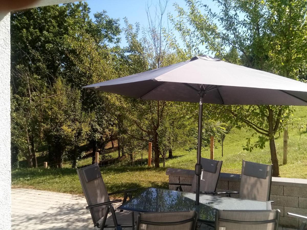 Grajsko Villa Metlika Bagian luar foto
